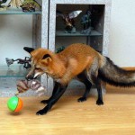 firefox-resucito-09
