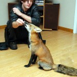 firefox-resucito-13
