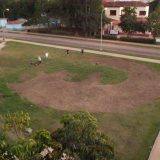 DSCN0065