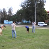 DSCN3121