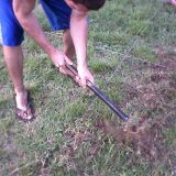 Fotos-0004