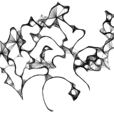 cisequilla