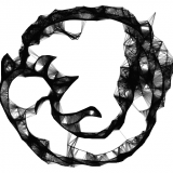 datamayo